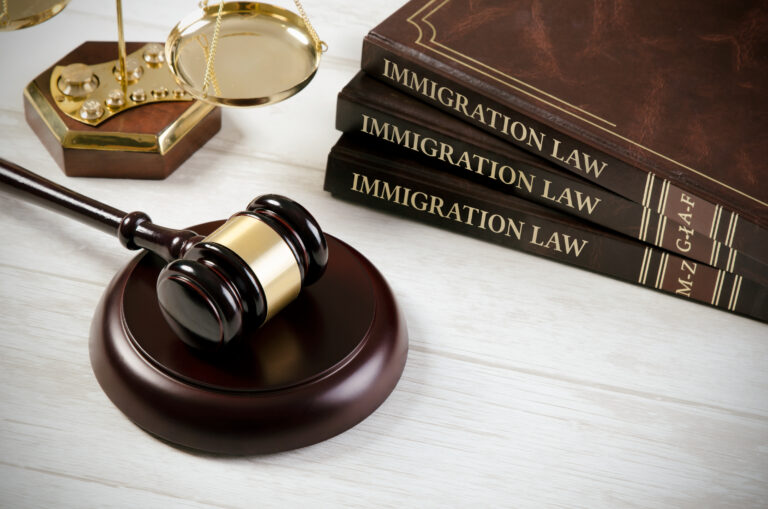 Immigration Law at Law Office of Nathan Earwood
